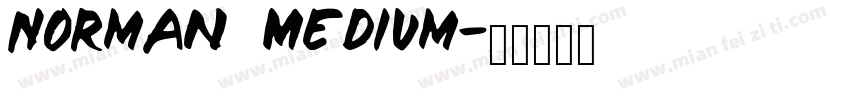 Norman   Medium字体转换